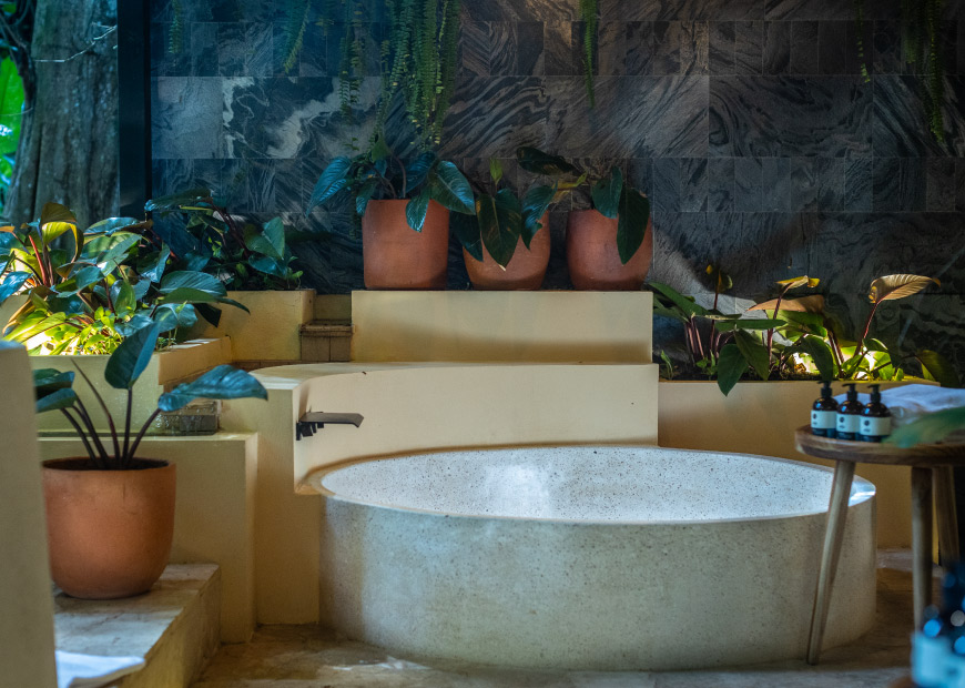 master-jungle-suite-gallery-1