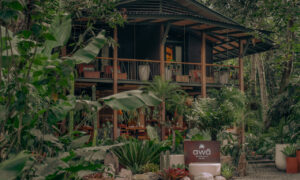 Why Punta Uva Is Home to the Best Hotel in Costa Rica’s South Caribbean