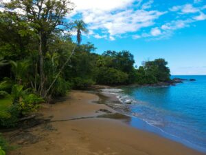 best time to visit the Caribbean