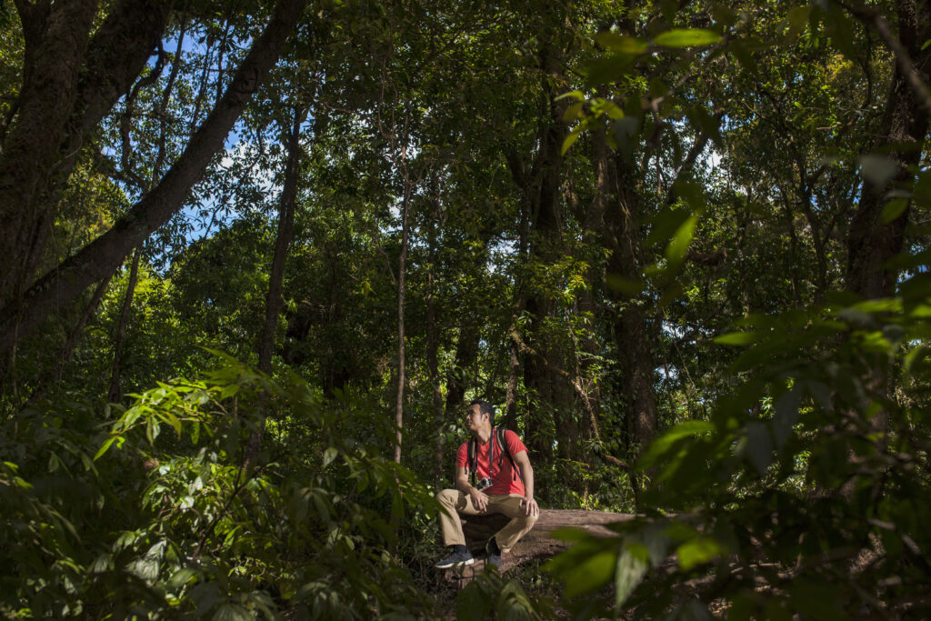Jungle and Beach Experiences in Puerto Viejo Costa Rica