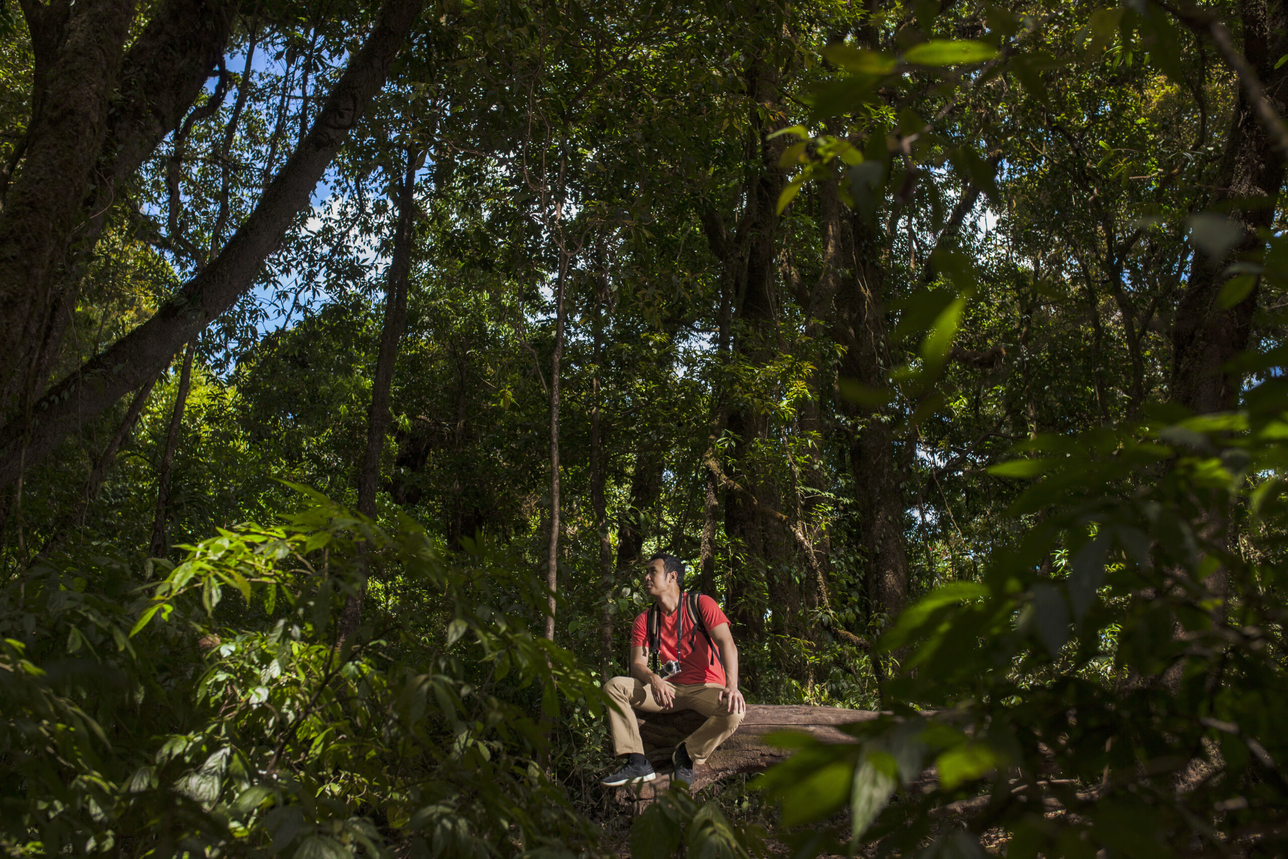 Jungle and Beach Experiences in Puerto Viejo Costa Rica