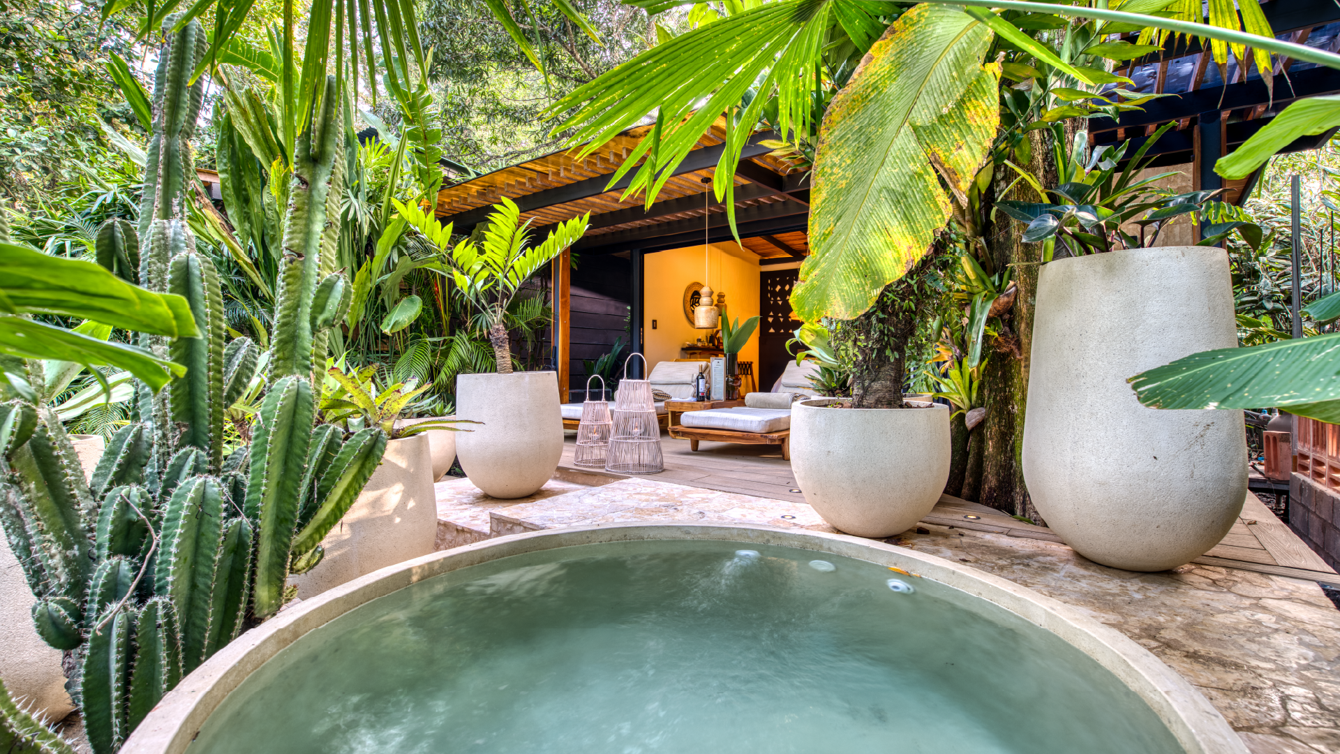 ocena-view-premium-gallery-awa