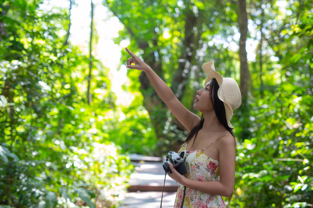 Sustainable Travel in Punta Uva Costa Rica