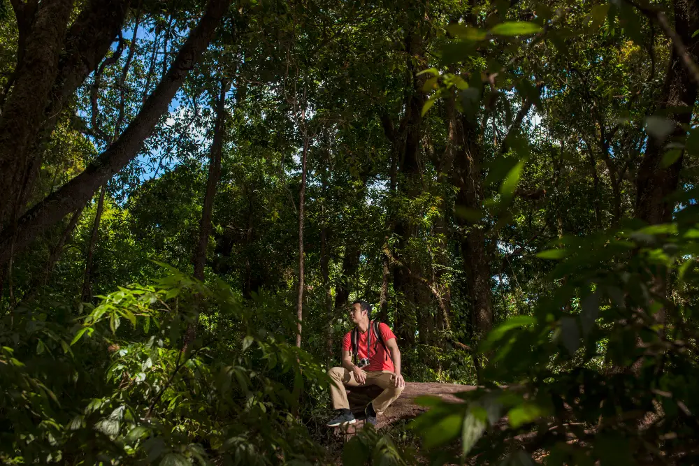 Nature Immersion Costa Rica Caribbean