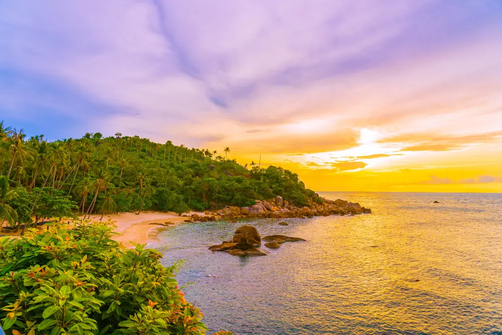 best caribbean sunrises costa rica